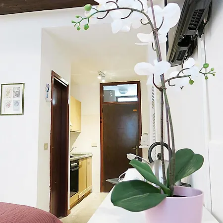 Da Mirella Apartament *